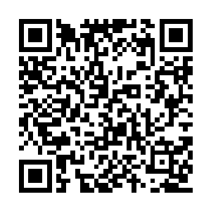 说明小龙的力量已经恢复到令人骇人惊闻的地步二维码生成