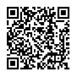 说明更多武装分子正在从各种方向朝着东面汇集二维码生成