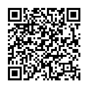 说明死亡时间的确就是在威灵仙师徒在马家吃早饭到牛扁毛二维码生成