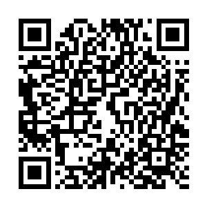 说明这种战术并不能够给拜仁慕尼黑带来冠军――德甲冠军二维码生成