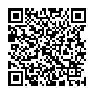 说明这里不是血剑王的修炼室只是用来存储一些东西的地方二维码生成