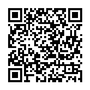 说明那些海洋魔兽只是吸收了极小部分化符原珠的效能二维码生成