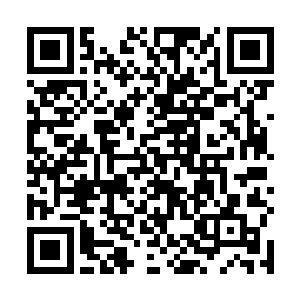 说明青山楼和圣王之间的关系已经引起了信义阁的怀疑二维码生成
