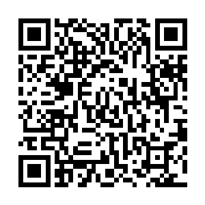 说是丹宗的宗主刘劲松有意将四大宗门完全合并成一个宗门二维码生成
