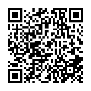 说是听说给苗毅的两成份子是口头承诺并未签给苗毅二维码生成