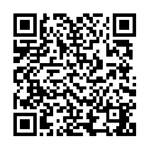 说是我们家老屋里有奶奶当年出去走阴阳积累下来的诸多的宝物二维码生成
