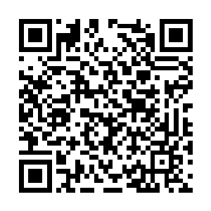 说来对他不假辞色的只有他名义上的道侣东方若兰二维码生成