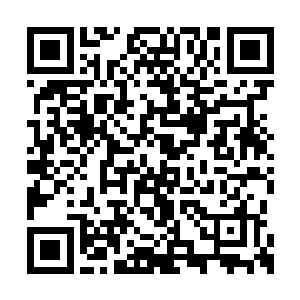 说江逸很有可能是三千来唯一走出巫神禁地的人二维码生成