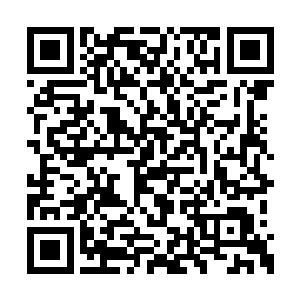 说王主席现在已经吓得躲在家里请病假不上班了二维码生成