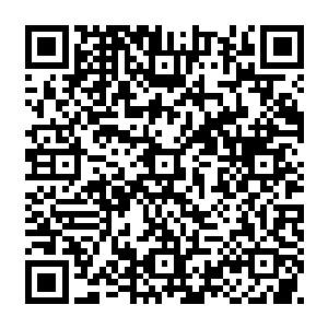 说白了吧这大约一百多平方的房子里差不多三分之一的地方都被这芦苇席子给占了二维码生成