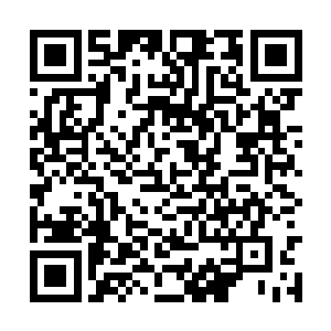 说白了就是来给你个大老爷当丫鬟跑腿儿揉肩膀的二维码生成