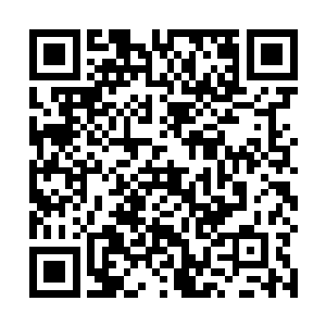 说百佳乐商场在招商引资时曾经为达达芬大肆宣扬炒作二维码生成
