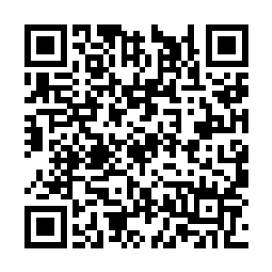 说的你好像就从来没有跟男生一块儿上过厕所似得二维码生成