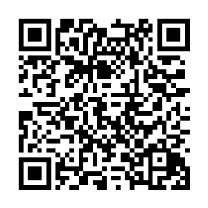 说的好像他带着这么一堆人是过来给吴凡撑场子的二维码生成