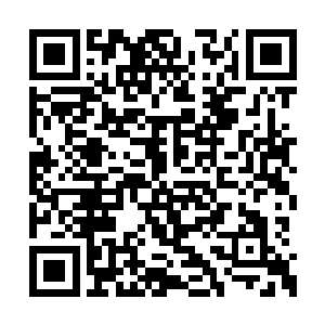 说的好像你们可以随时灭杀我们幽灵海盗团一样二维码生成