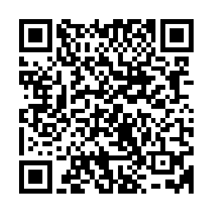 说真的……他带来的这一车子的原石还真就和一车的垃圾差不多二维码生成