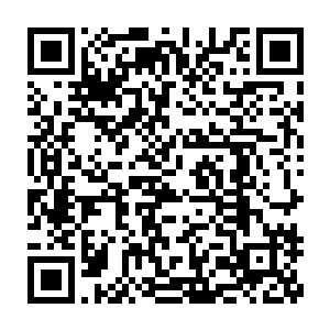 说真的洪大力对自己目前手上到底握了多大的权力一点概念都没有二维码生成