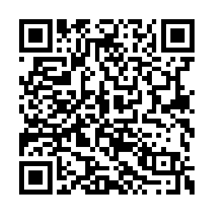 说着三个人便是完全进入到了这个乌鸦森林之中二维码生成