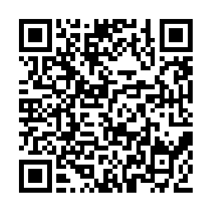 说着与孟皇后一起带着大家跪下为父皇行礼拜寿二维码生成