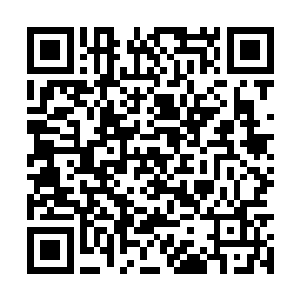 说着从储物袋里将做好的饺子和肉串端出来好几份二维码生成