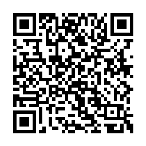 说着他从茶几下面拿出一个塑料袋往茶几上一放二维码生成