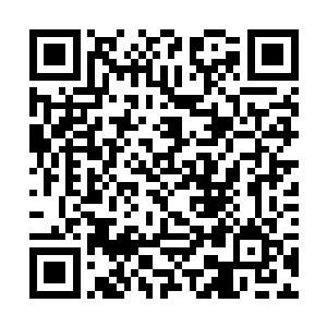 说着冯玉伦把另外一些资料给摆到了桌面上然后说道二维码生成