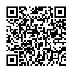 说着夹了一块她喜欢吃的糖醋排骨放到了她的盘子中二维码生成