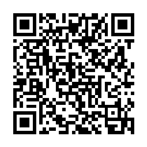 说着将二门外递上来的帖子信件用银盘子盛了递给他二维码生成