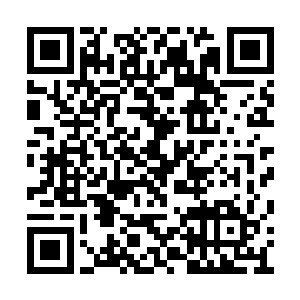 说着就从小背包里面找出来根黑色的伸缩自拍杆二维码生成