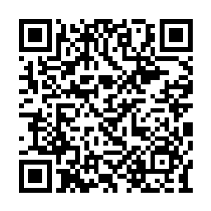 说着已涌出无边火焰迎向那最后残余的真仙力量二维码生成