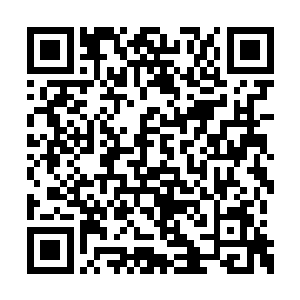 说着把刘长元随口说自己来东南亚的理由讲了讲二维码生成