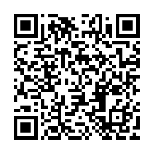 说着柯震便不由分说地一把就抓过了赵二狗放口袋里的那张五十二维码生成
