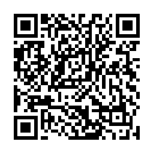 说着灵智道人让旁边的另外一个弟子拿出来了一个盒子二维码生成