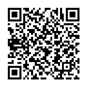 说着苏旋指了指旁边站的几个一身红色的帮会成员二维码生成