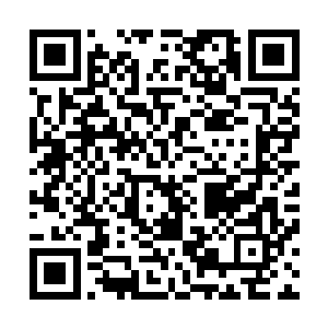 说着话扬起手中的枣木杠子就朝包大友二侄子的脑袋上砸去二维码生成