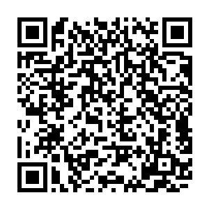 说着说着俩小东西似乎觉得光说不能解决问题立刻准备开始上演了全武行二维码生成