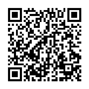 说着轻轻转动着手指上戴着的那个碧绿之色的小小戒指二维码生成