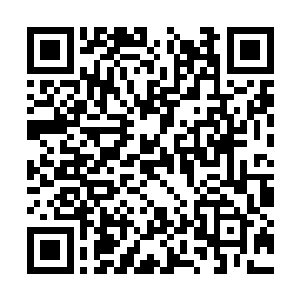 说着这王家家主就吆喝着自己从家里带过来的家丁二维码生成