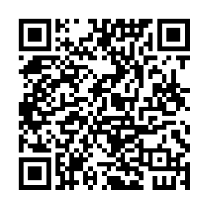 说老姨带着黎明还有老姨自己的孩子躲在厨房吃东西二维码生成