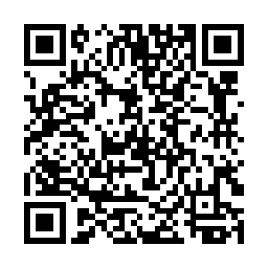 说老实话奥里布虽然觉得稀奇不过还是没有勇气去试二维码生成