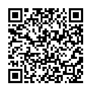 说苏落要被开除了……顿时一个个吓得脸色苍白二维码生成