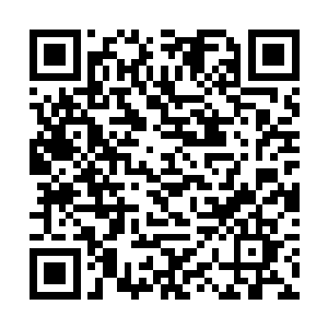 说莉莉将要成为流枫学院当之无愧的第二个荷花仙子二维码生成