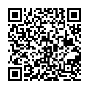 说起来不过就是一个刚连接上银河虚拟网络的土包子星球二维码生成