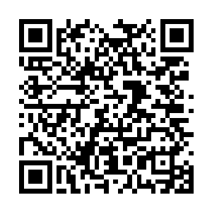 说起来我和安雅琳已经有几万年没有这么惬意过了二维码生成