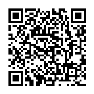 说起来李思辰的运气还真是有够好……买下一条红珊瑚项链二维码生成