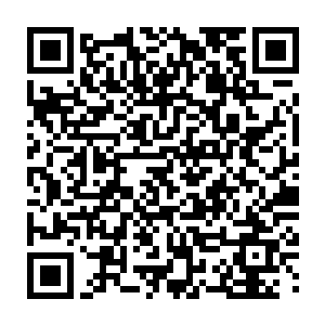 说起来王世子的这个秘书可的确成了实验室里一帮单身技术人员追求对象二维码生成