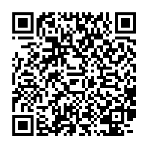 说起来贝海这个冤大头出钱师叔还真的除了出钱之外什么都没有关心过二维码生成
