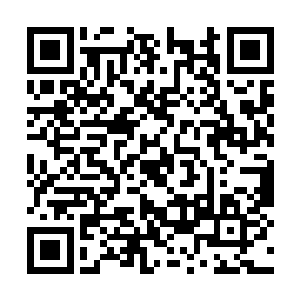 说起来这枚养魂石……似乎是一直处于饥饿状态的二维码生成