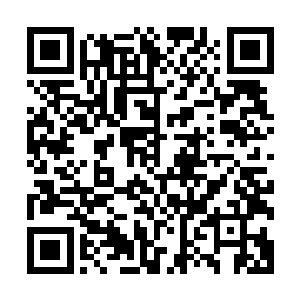 说起来那一届真正去参加武林大会的就只有沐擎苍一个人而已二维码生成