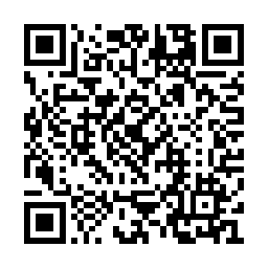 说过后不免又想到了每天都想上几回的贺家娘子二维码生成